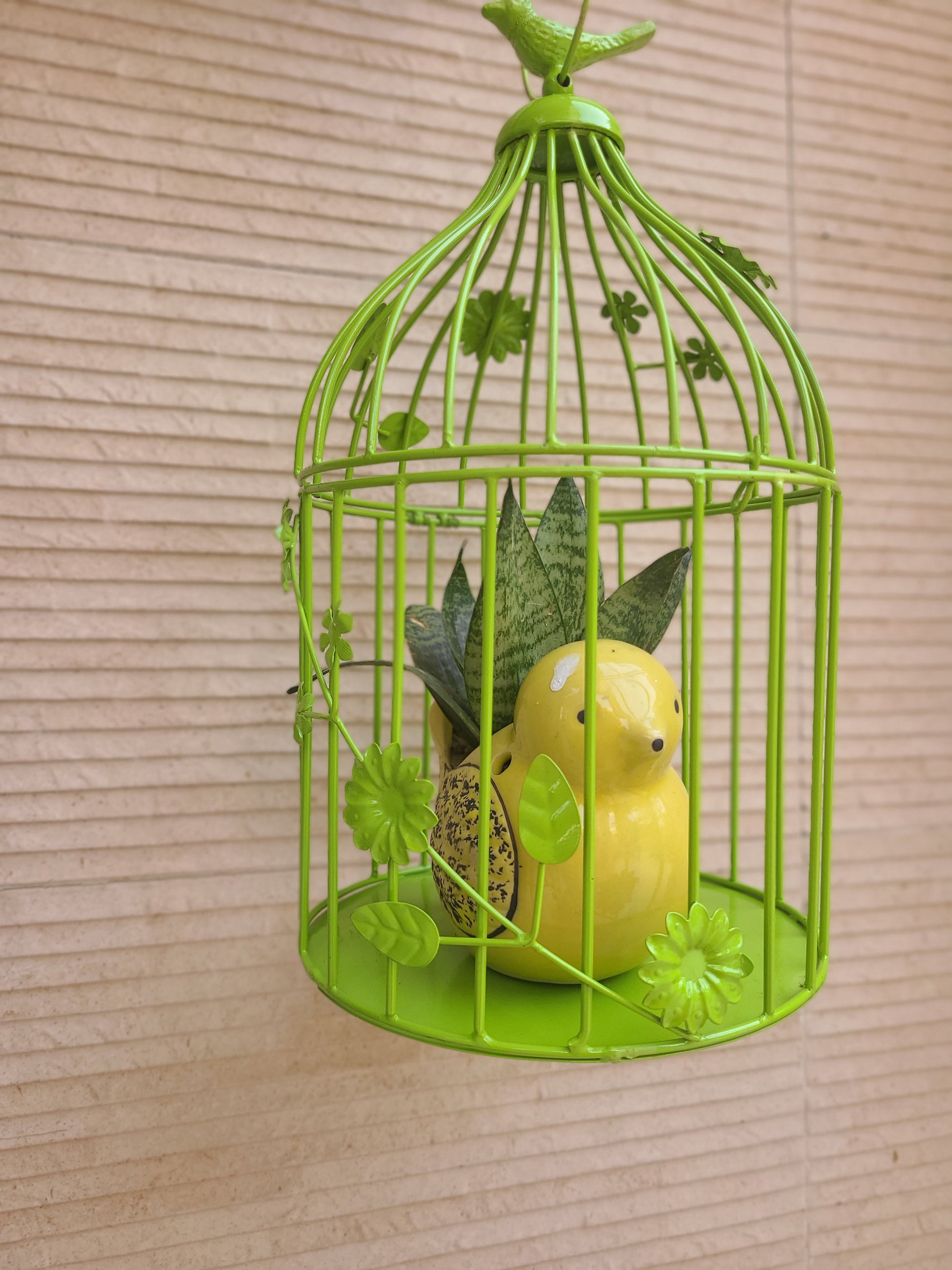 Buy Bird Cage Planter At Best Price In Bangalore