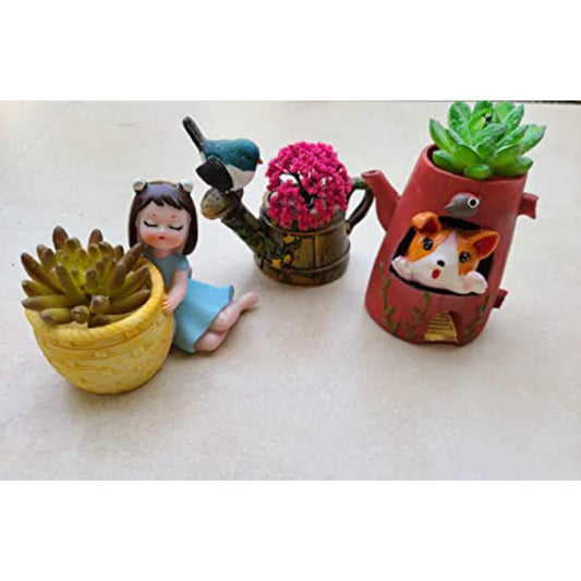 Gardens Accessories Succulant  Pots pack of 3