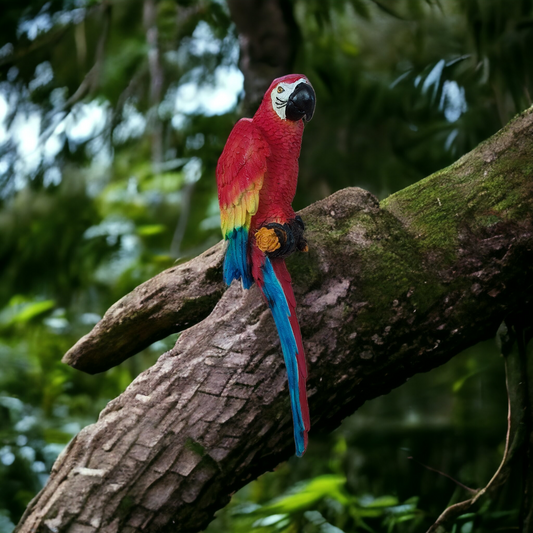 Gardens Accessories macaw for garden decor